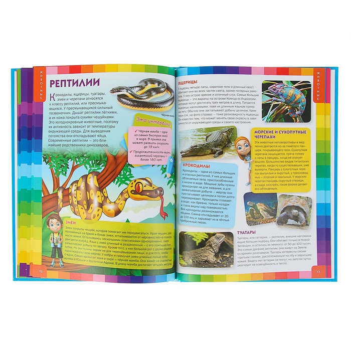 Энциклопедия для девочек и мальчиков. Что это? Кто это? Зачем это?