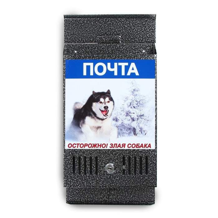 фото Ящик почтовый с замком, вертикальный, серебристый, картинка микс