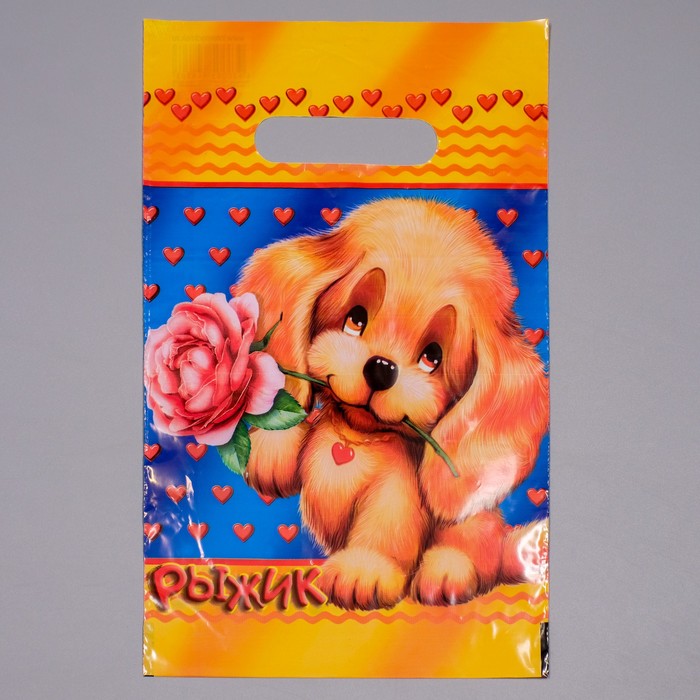 Пакет "Рыжик", полиэтиленовый с вырубной ручкой, 20 х 30 см, 30 мкм