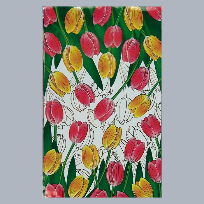 Пакет подарочный "Нимфа", с клеевым клапаном, 17 х 22/5 см, 35 мкм