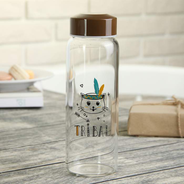 Бутылка 500 мл "Индеец", рисунок и цвета МИКС