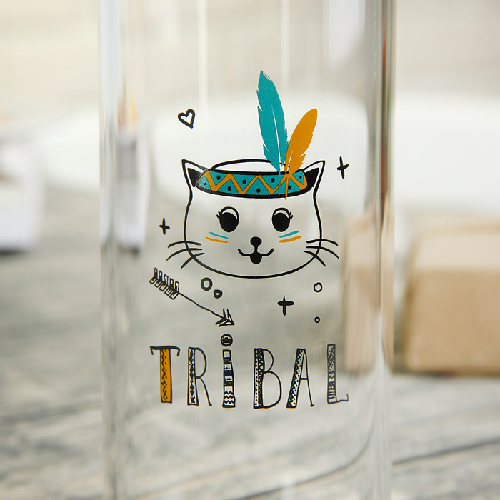 Бутылка 500 мл "Индеец", рисунок и цвета МИКС