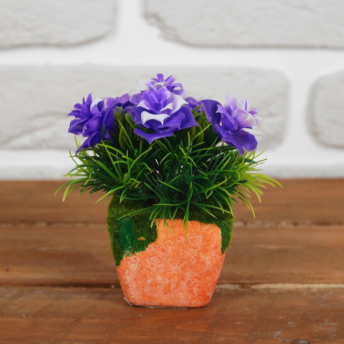 Бонсай "Роза Прелесть" 5*9 см, микс