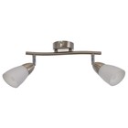 2 лампы никель 2 лампы никель