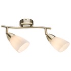 2 лампы бронза 2 лампы бронза