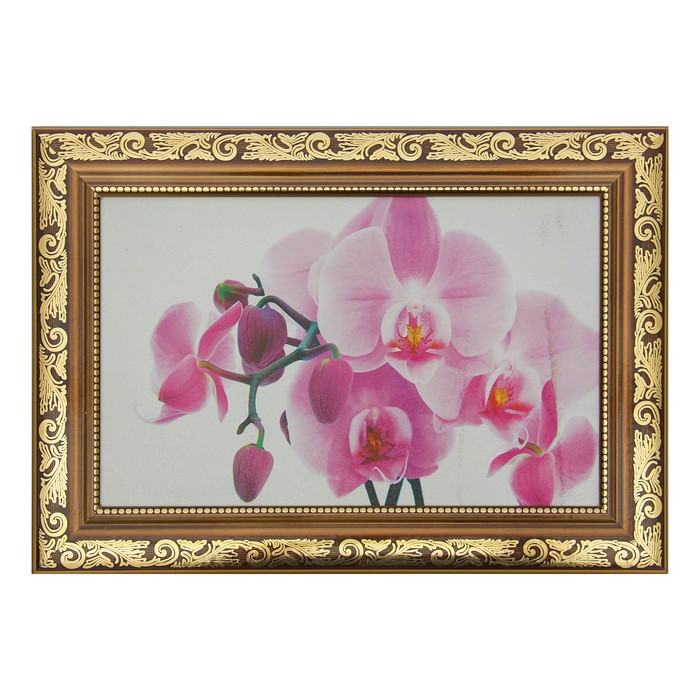 Картина "Красивая орхидея" 27*37 см