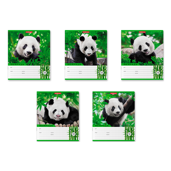 Тетрадь 12 листов линейка "Панды", картонная обложка, микс