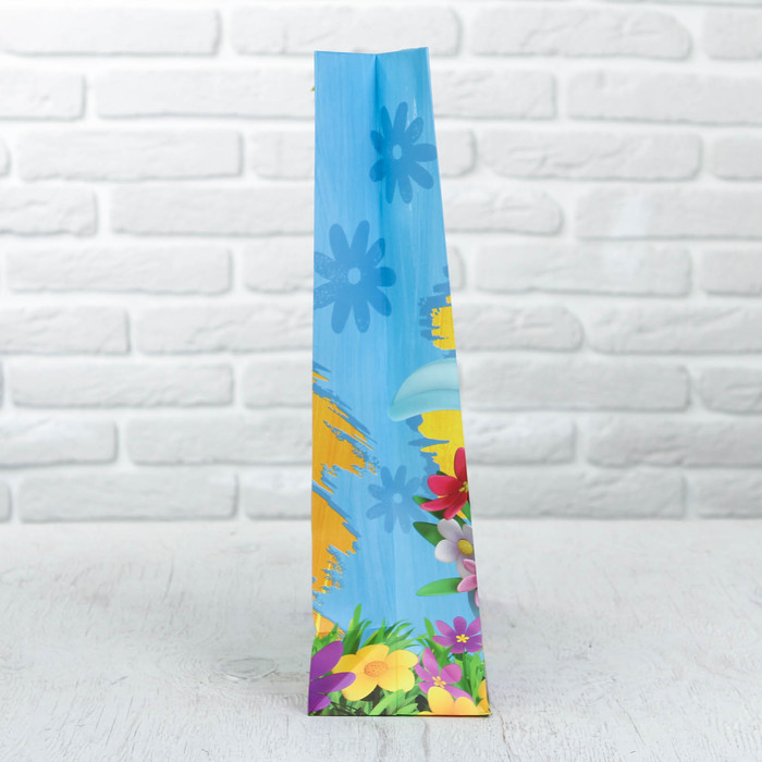 Пакет ламинат вертикальный СМЕШАРИКИ "С Днем Рождения, друг!", 31 х 40 х 11 см