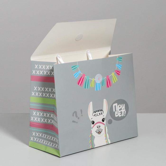 Пакет подарочный «Привет!», 23,5 × 19,5 × 11 см