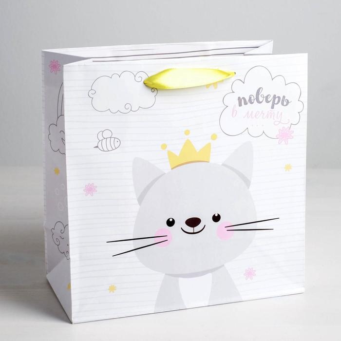 Пакет ламинированный квадратный «Поверь в мечту», 22 × 22 × 11 см