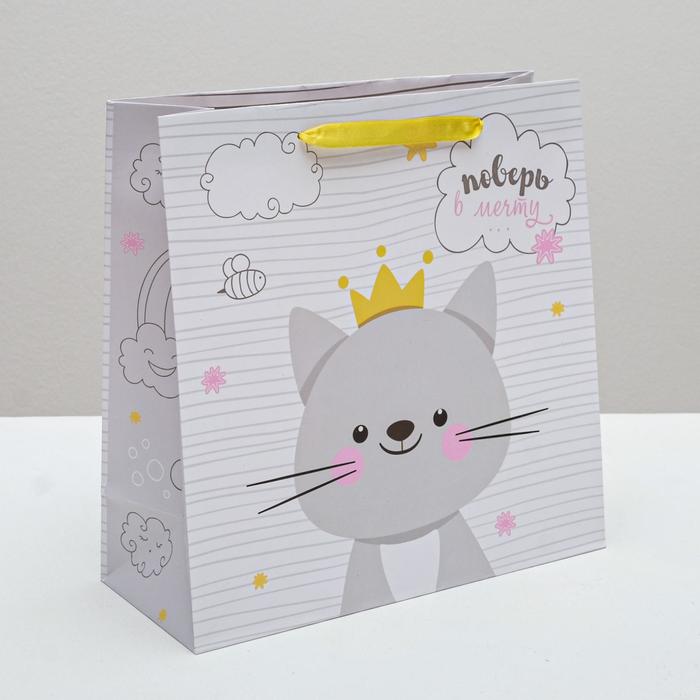 Пакет ламинированный квадратный «Поверь в мечту», 30 × 30 × 12 см