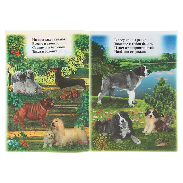 Книжка с наклейками. Собаки 160*240мм, 8стр + наклейка