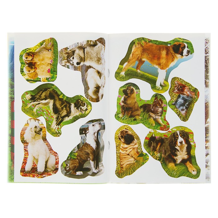 Книжка с наклейками. Собаки 160*240мм, 8стр + наклейка
