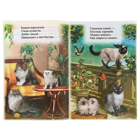 

Книжка с наклейками «Кошки»
