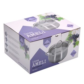 

Кастрюля AMELI, объём 2,1 л, размер 16 х 10 см