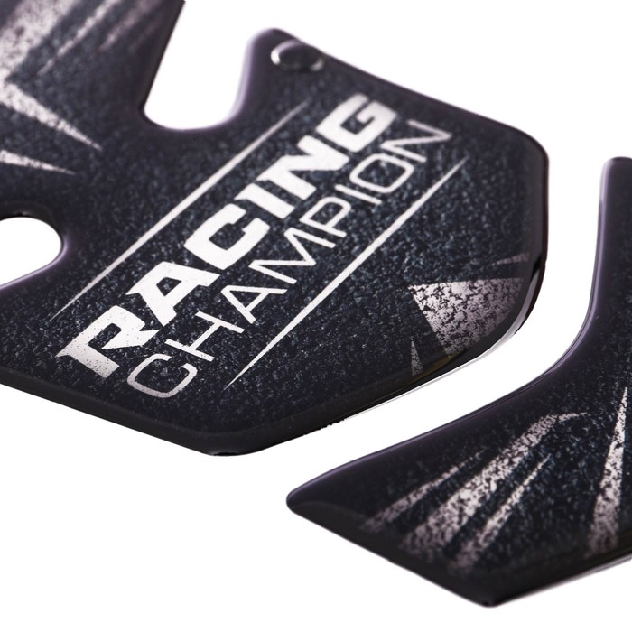 Наклейка на мотоцикл "Racing champion", 25 х 18 см