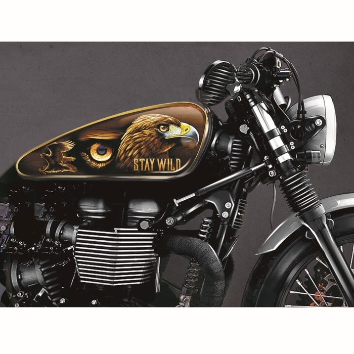 Набор наклеек на мотоцикл "Орел", 2 шт.