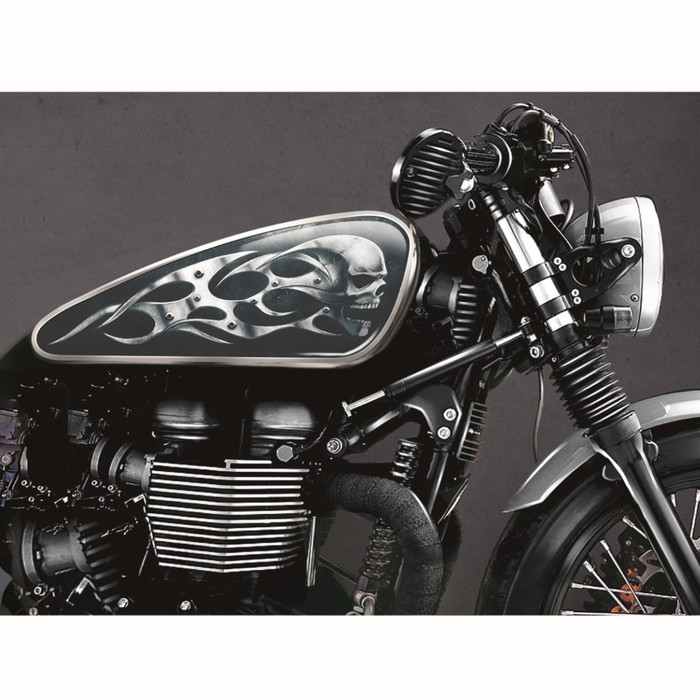 Набор наклеек на мотоцикл "Череп", 2 шт.