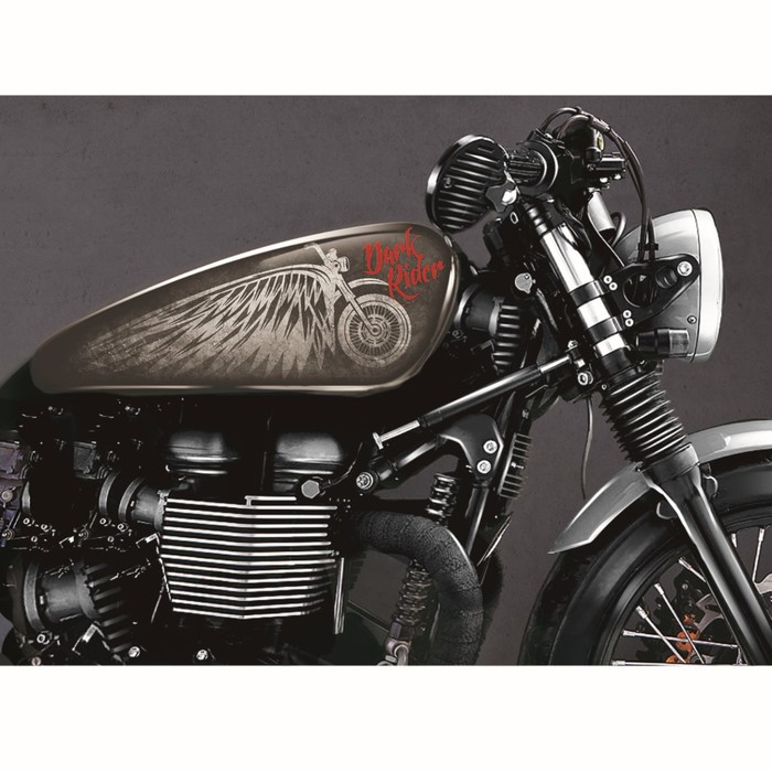 Набор наклеек на мотоцикл "Dark Rider", 2 шт.