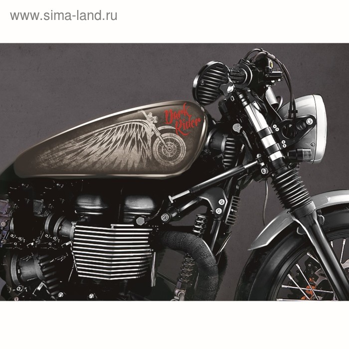 фото Набор наклеек на мотоцикл dark rider, 2 шт