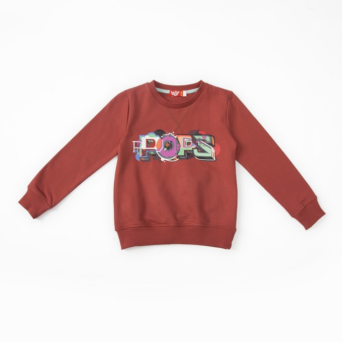 Джемпер для мальчика,рост 116 (60) см, цвет терракотовый 6236