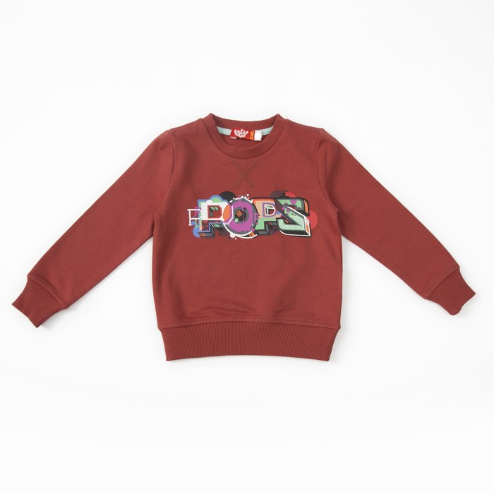 Джемпер для мальчика,рост 92 (52) см, цвет терракотовый 6236_М