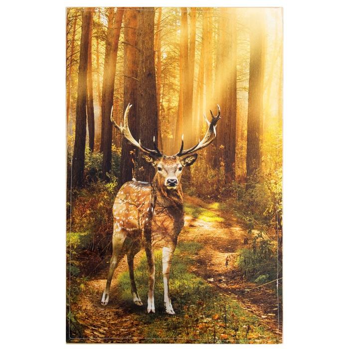 фото Полотенце «этель: лес», 40 × 67 см, хлопок 100 %, саржа, 190 г/м²