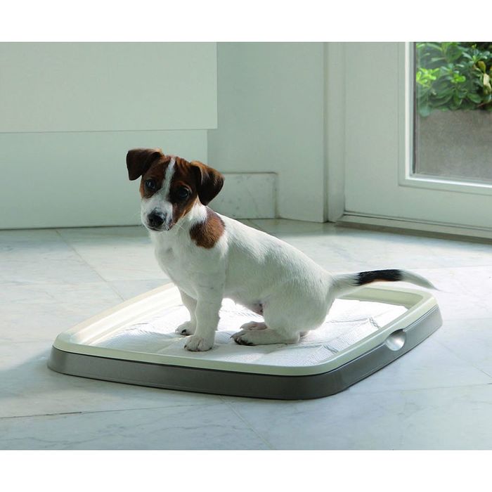 Подстилки PUPPY TRAINER средние 30шт/уп