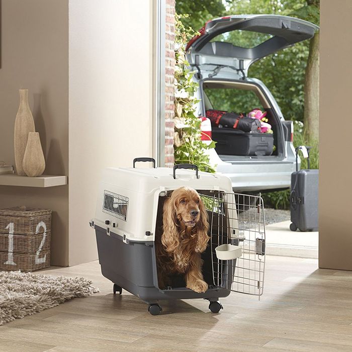 Переноска ANDES 5 темно-серая/слоновая кость