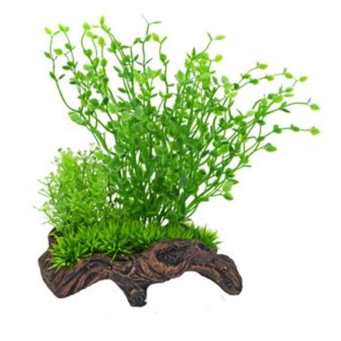 Распылитель декоративный PENN-PLAX "Растение на коряге", зеленое