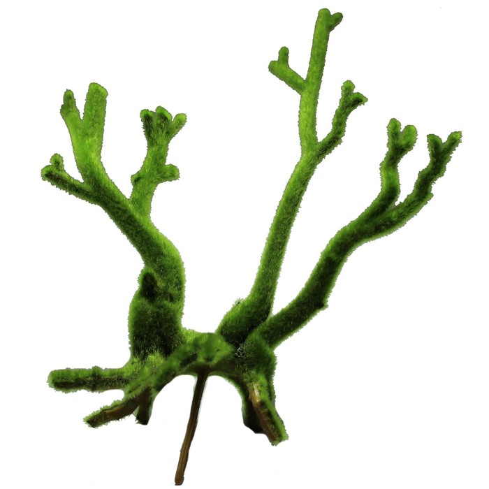 Декорация Fauna INT "Коряга зеленая", 18,5х8х24см, пластик