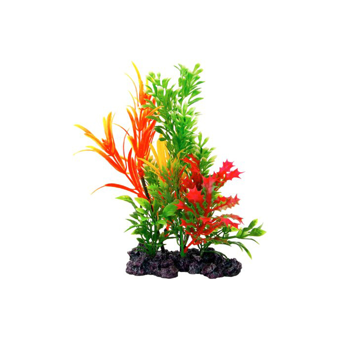 Растение "Композиция" №  27, 18см