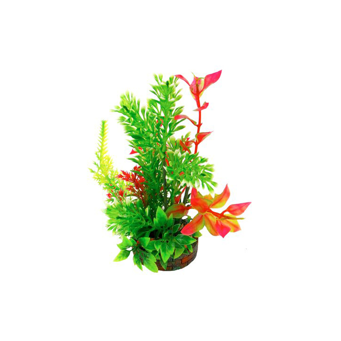 Растение "Композиция" №  34, 22см