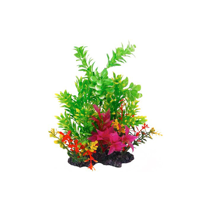 Растение "Композиция" №  36, 22см