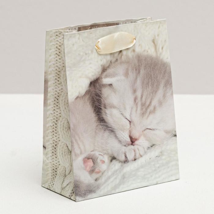 Пакет ламинированный вертикальный «Нежности», S 11 × 14 × 5,5 см