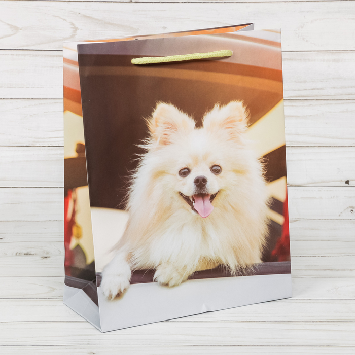 Пакет ламинированный вертикальный «Счастливого настроения!», S 11 × 14 × 5,5 см