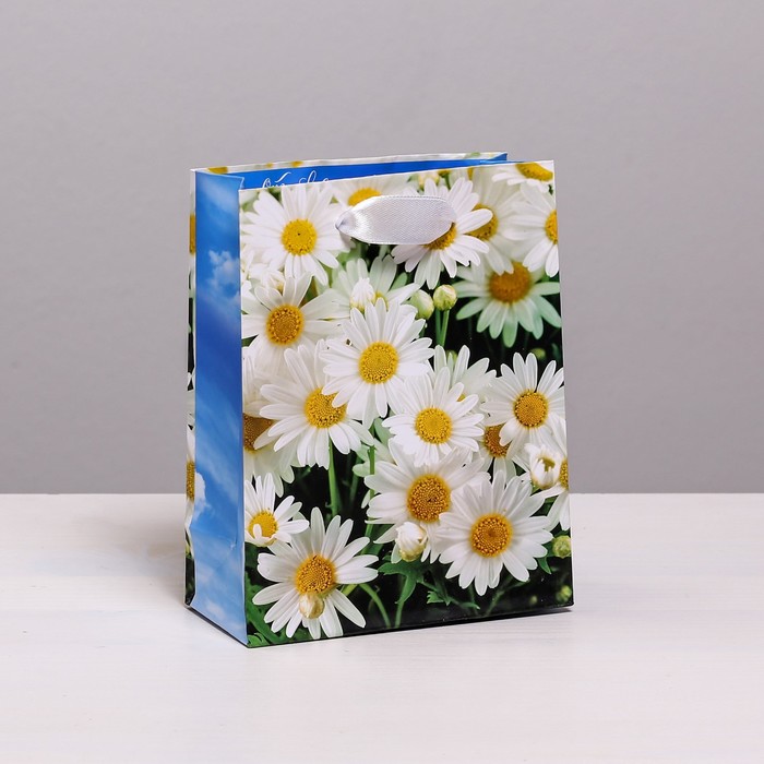 Пакет ламинированный вертикальный «Ромашки полевые», S 11 × 14 × 5,5 см