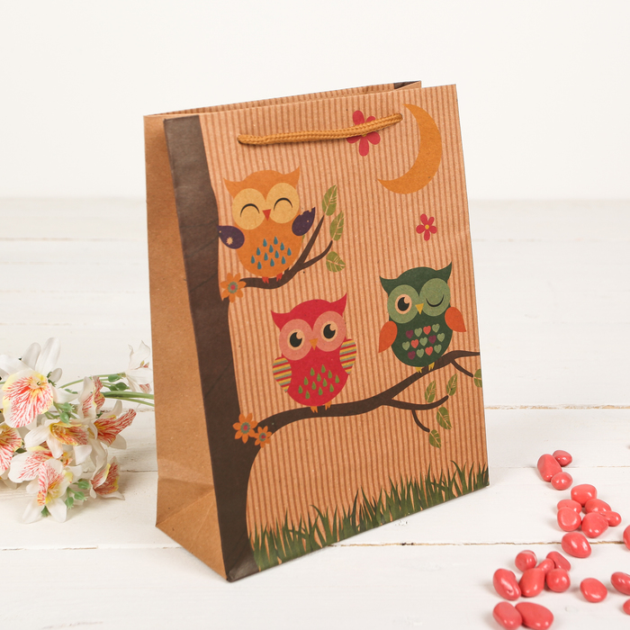 Пакет крафт "Совушки", 15 х 6 х 20 см