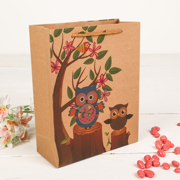 Пакет крафт "Совы", 19 х 8 х 24,5 см