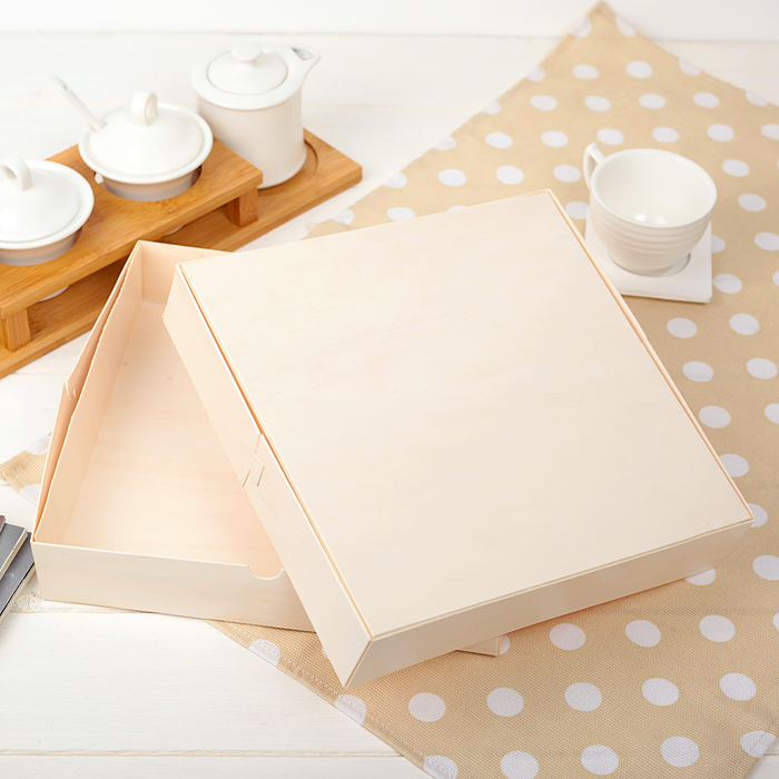 Контейнер пищевой 27 х 27 х 5 см