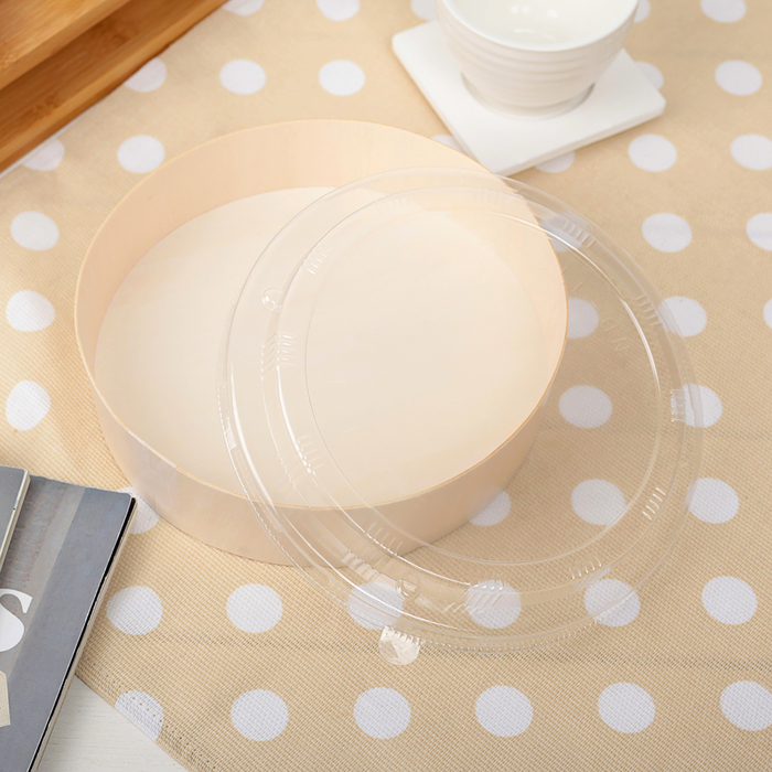 Контейнер пищевой 17 х 17 х 4,5 см