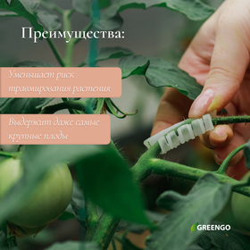 Кистедержатель, набор 50 шт, Greengo от Сима-ленд