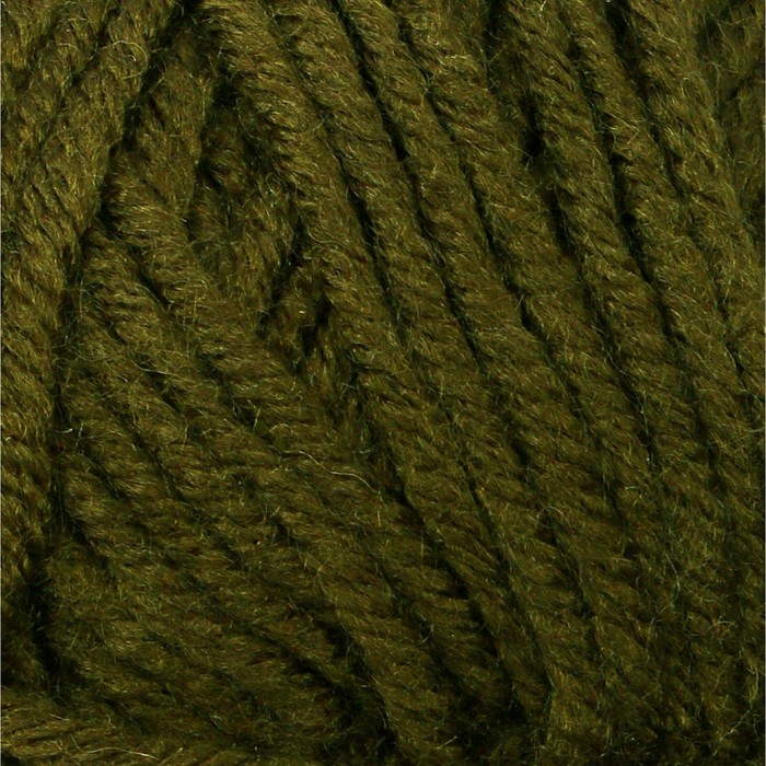 Пряжа "Superlana Maxi" 75% акрил, 25% шерсть 100м/100гр (241 т. зелёный)