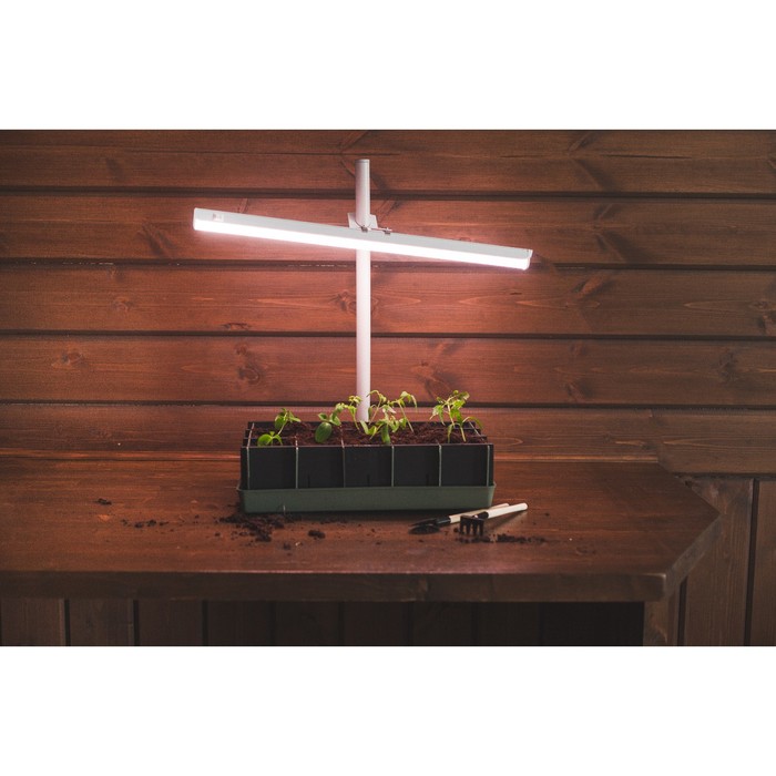 Кассета для рассады, 15 ячеек по 430 мл, поддон