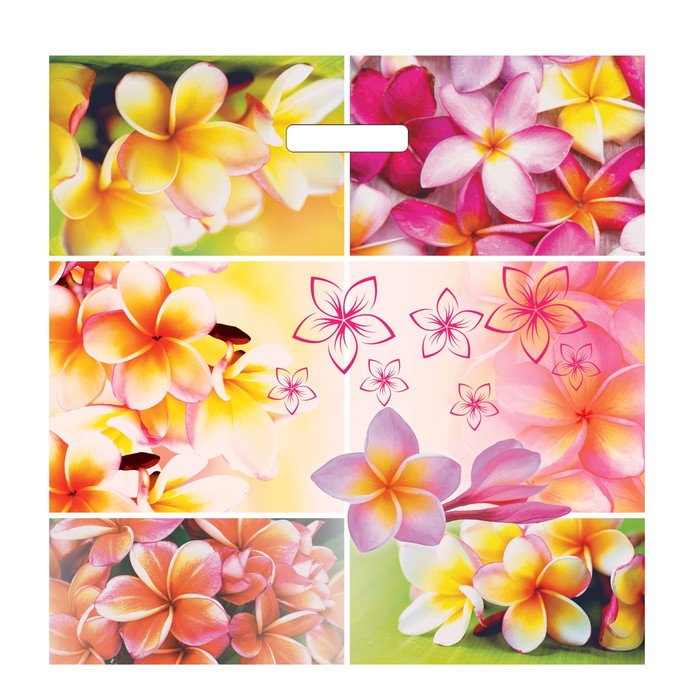 Пакет "Плюмерия", полиэтиленовый с вырубной ручкой 45х45 см, 70 мкм