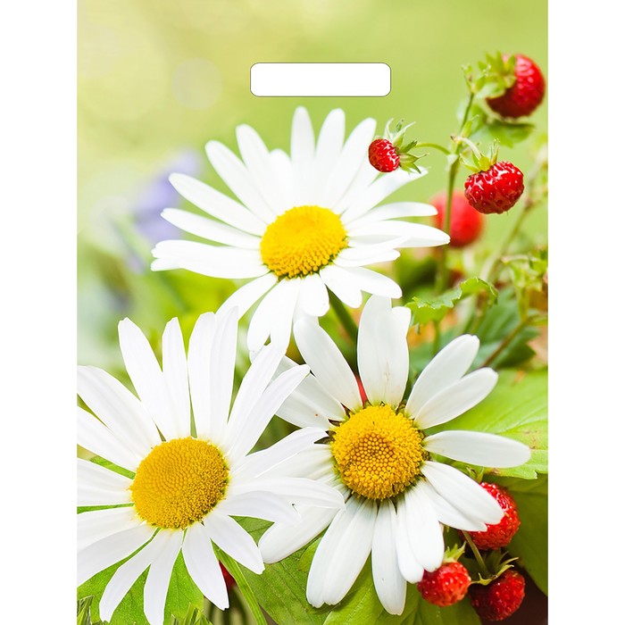 Пакет "Лесной букетик", полиэтиленовый с вырубной ручкой, 40 х 31 см, 60 мкм