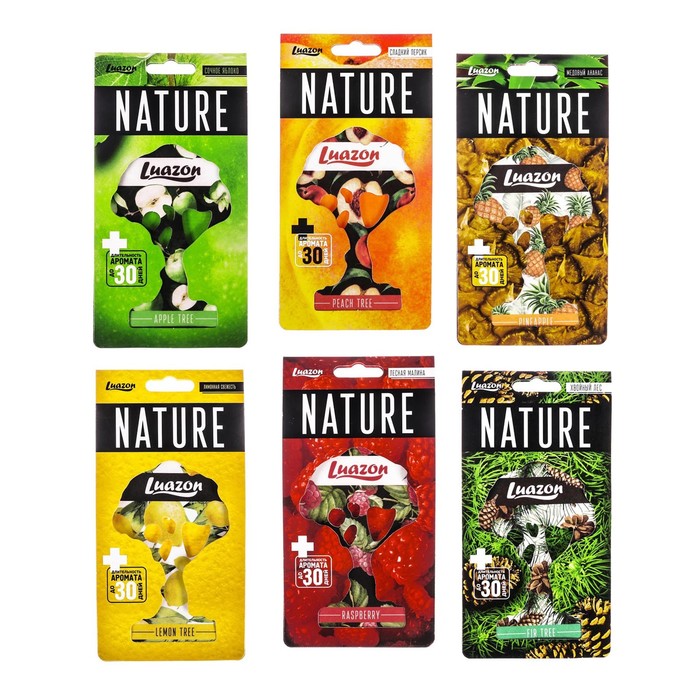 Ароматизатор бумажный в авто "Nature", МИКС 6 ароматов