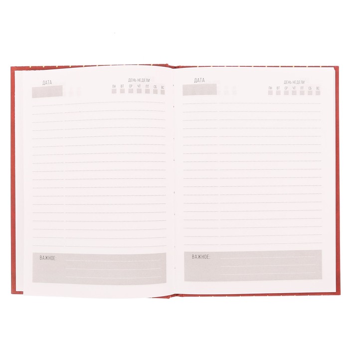 Подарочный набор "С Днём защитника Отечества!": ежедневник и ручка