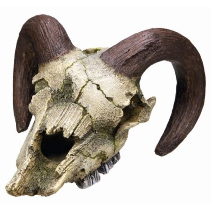 Декорация Nobby "Череп барана", 17,5х16х9,5см, пластик