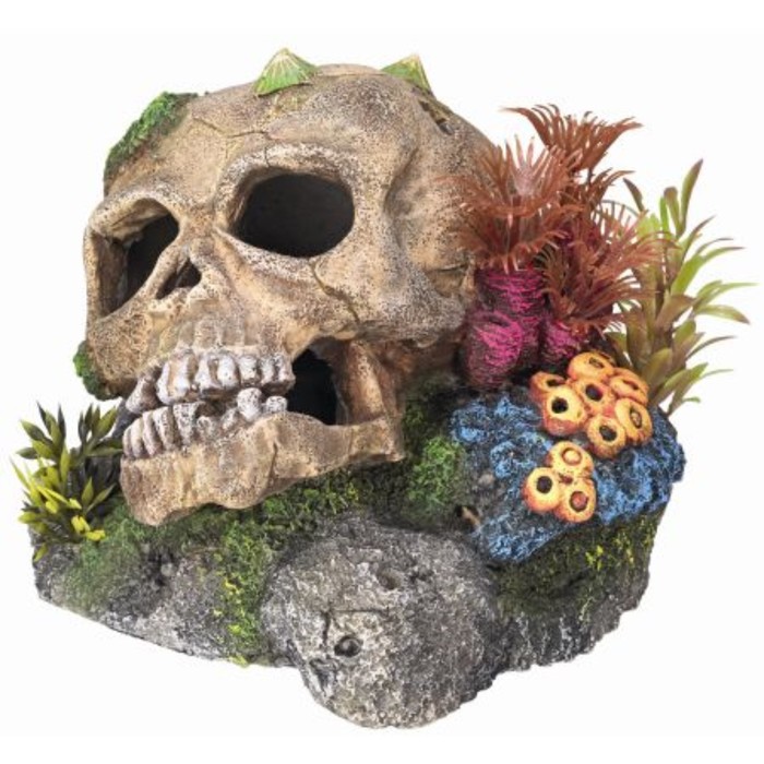 Декорация Nobby "Череп и кораллы", 13,5х13,5х10,5см, пластик